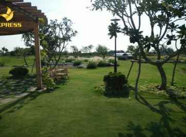 Đất vườn là đất gì? Đất vườn xây nhà cần điều kiện gì?