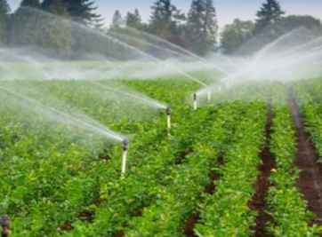 Có được phép chuyển đổi đất 5 sang đất thổ cư không?