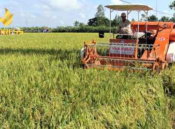 Đất ruộng Sóc Trăng giá rẻ và tiềm năng đầu tư tại đây.