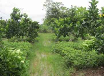 Có nên mua đất không có thổ cư để xây nhà?