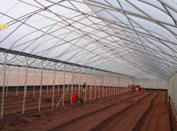 Ưu và nhược điểm của cách làm nhà kính trồng rau là gì?