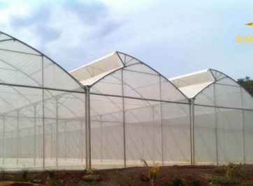 Có mấy cách làm nhà lưới trồng rau đơn giản và hiệu quả?