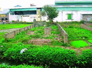 Giải đáp thắc mắc về vấn đề đất vườn khác đất nông nghiệp