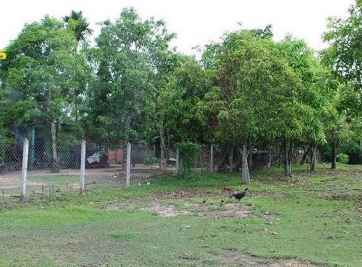 Đất vườn là loại đất gì ? Quyền sử dụng như thế nào ?