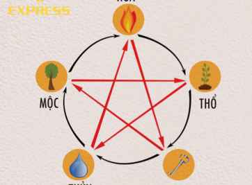 Giải đáp : Mệnh Kim Và Mộc Có Hợp Nhau Không?