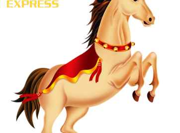 Tuổi ngọ 1978 mệnh gì? Những lưu ý về phong thủy mà bạn nên biết