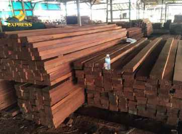 Gỗ cà chít và các ứng dụng trong cuộc sống