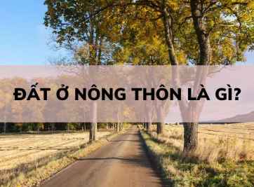 Đất ở nông thôn là gì? Quy định pháp luật với đất nông thôn