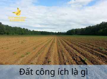 Đất công ích là gì và những quy định của Luật đất đai