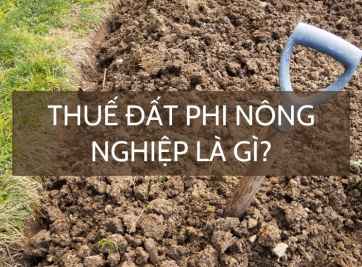 Thuế đất phi nông nghiệp là gì? Khi nào cần nộp thuế PNN?
