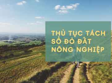 Thủ tục tách sổ đỏ đất nông nghiệp mới nhất 