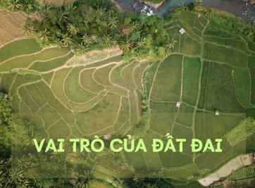 Tầm quan trọng của đất đai đối với con người và cuộc sống