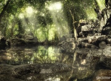 Suối Tranh - bức tranh thiên nhiên tuyệt đẹp ở đảo Phú Quốc