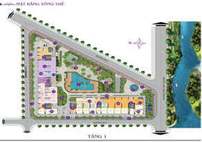 LÍ DO BẠN NÊN CHỌN CHARMINGTON IRIS