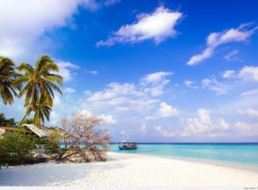 PHÂN TÍCH THỊ TRƯỜNG BẤT ĐỘNG SẢN VIỆT NAM ĐẾN 2017 VÀ DỰ BÁO TIỀM NĂNG TƯƠNG LAI