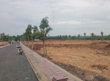 THỊ TRƯỜNG HCM CẦN CẢNH GIÁC VỚI SỐT ĐẤT Ở CẦN GIỜ