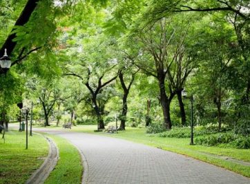 Chính sách tốt cho KH mua căn hộ De La Sol Capitalland