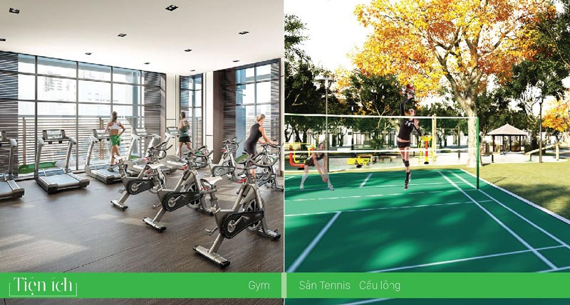 Gym, Tennis, Cầu Lông
