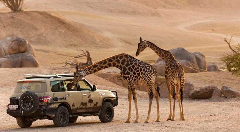 Vườn thú Nova World Phan Thiết